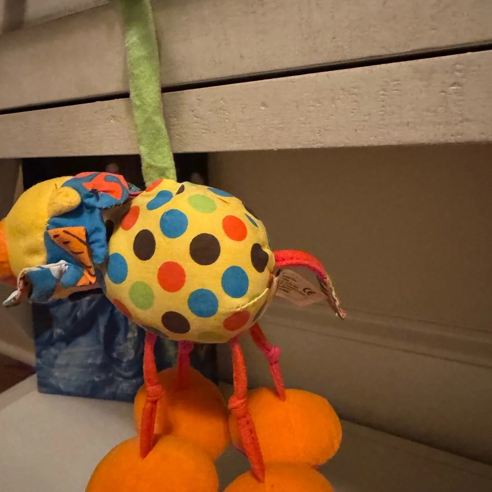Colorful Lion Baby Play Toy